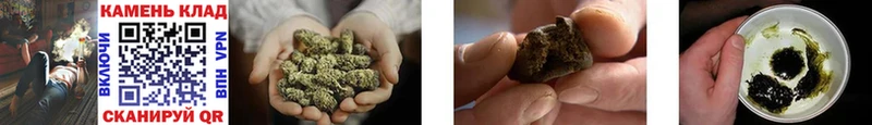 Гашиш Cannabis  Осинники 