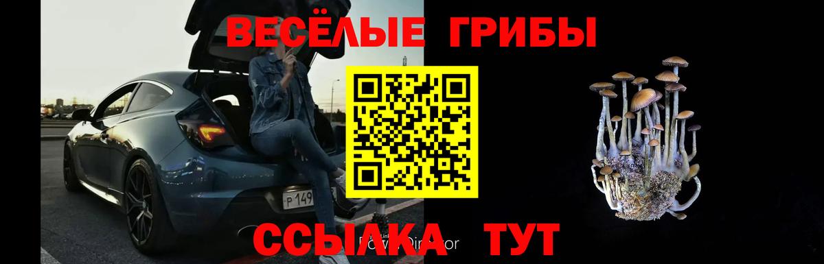 Галлюциногенные грибы прущие грибы  Вход с VPN  Галлюциногенные грибы Psilocybine cubensis  Осинники 